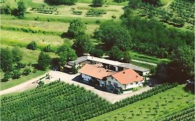 Weingut Ringwald