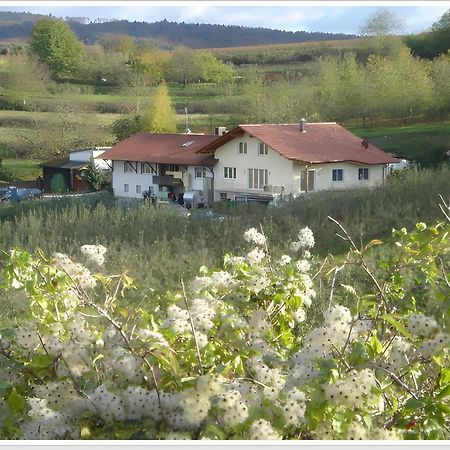 Ferienwohnung Weingut Ringwald Herbolzheim Exterior foto