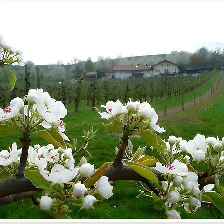 Ferienwohnung Weingut Ringwald Herbolzheim Exterior foto