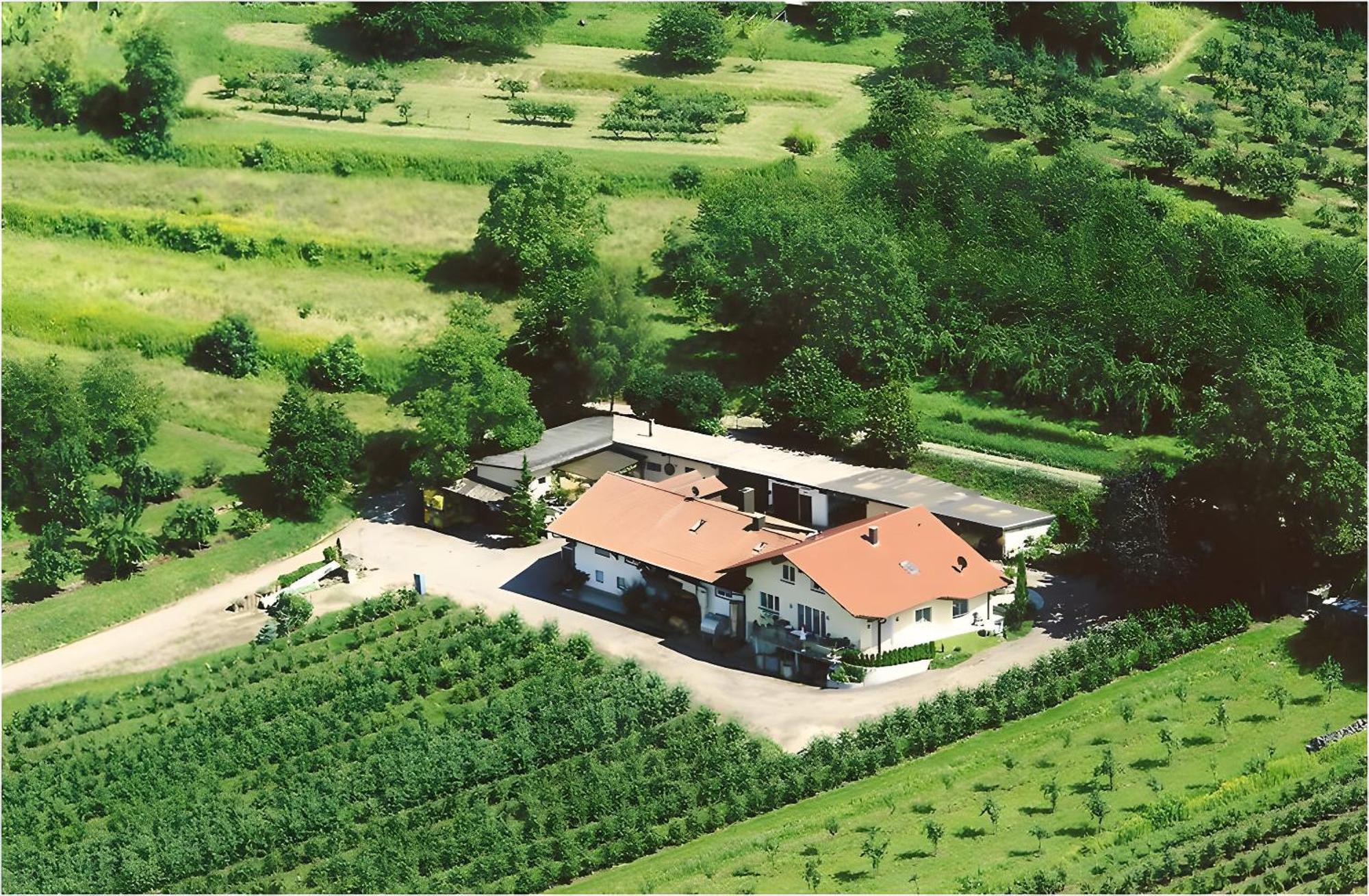 Ferienwohnung Weingut Ringwald Herbolzheim Exterior foto