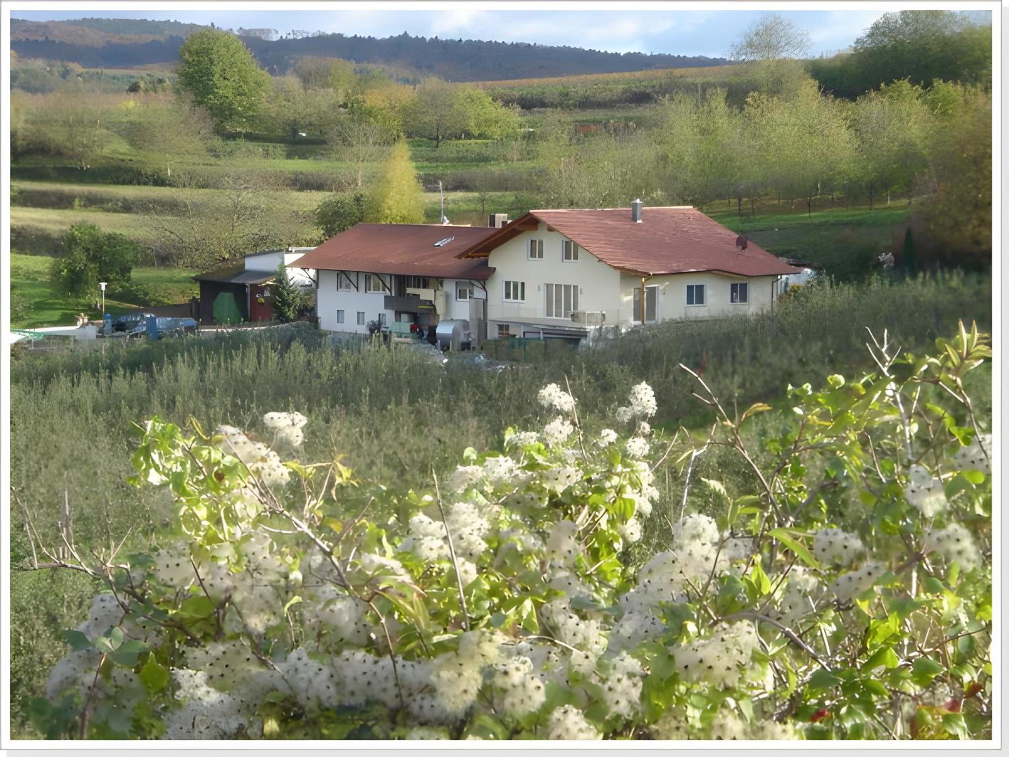 Ferienwohnung Weingut Ringwald Herbolzheim Exterior foto